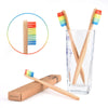 Bristles Rainbow Bamboo Tooth Brush