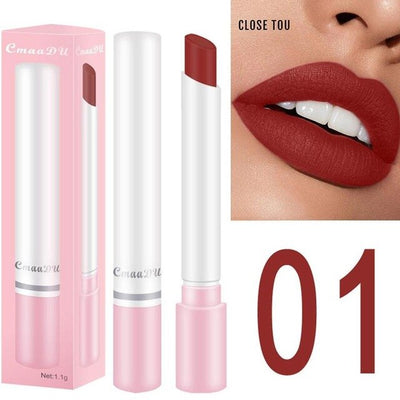 Waterproof Matte Lipstick Tube Nude