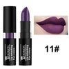 Vampire Lip stick Plum Color